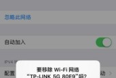 WiFi已连接却无法上网的原因解析（探究无法上网的可能原因和解决方法）