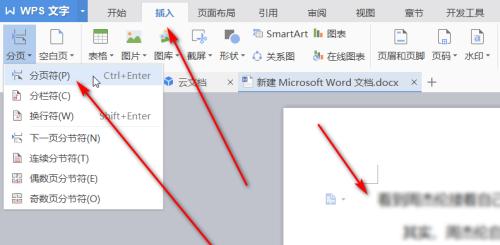 如何删除Word文档中的空白页（有效清除最后一页的空白内容）  第1张