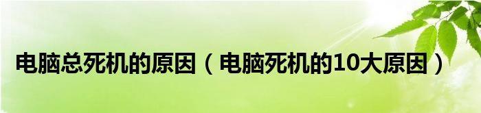 电脑静止一段时间就死机的原因解析（探寻静止引发电脑死机的关键因素）  第1张