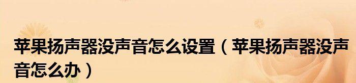 扬声器无声音怎么回事？如何排查解决？  第2张