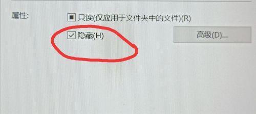 如何在电脑中显示隐藏文件？隐藏文件无法显示怎么办？  第3张