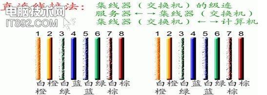 宽带水晶头接线方法是什么？如何正确连接水晶头？  第2张