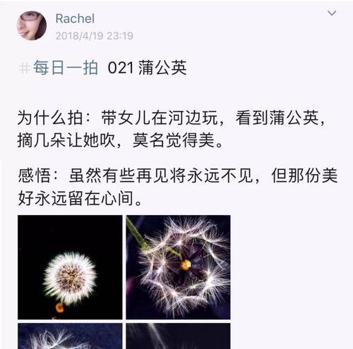 毕业拍照手机扔到空中会怎么样？安全吗？  第2张